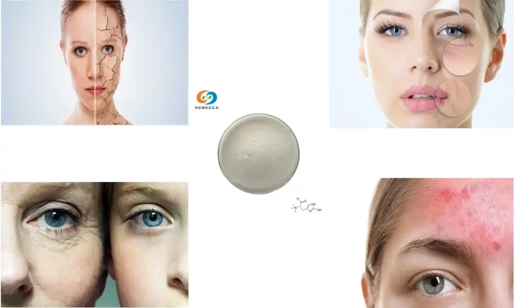 Why Is L-Ergothioneine Powder Essential for Anti-Aging?